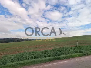 Prodej pole, Herálec, 1977 m2