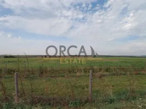 Prodej pole, Strachotín, 1904 m2