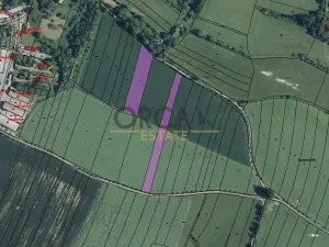 Prodej pole, Stříbrná Skalice, 6185 m2