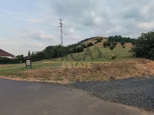 Prodej pozemku, Hostomice, 8431 m2