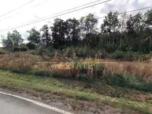 Prodej podílu pole, Praha, 3695 m2