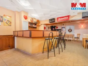 Prodej ubytování, Bílina - Mostecké Předměstí, Kyselská, 170 m2