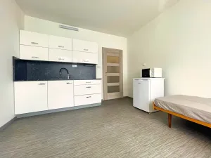 Prodej bytu 1+1, Český Krumlov - Nádražní Předměstí, Za Nádražím, 38 m2