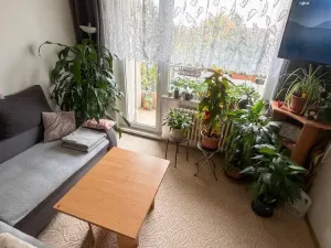 Prodej bytu 1+1, Olomouc - Nová Ulice, Pionýrská, 45 m2