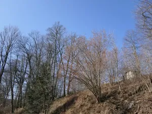 Prodej lesa, Raspenava, 656 m2