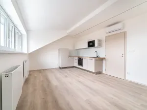 Pronájem bytu 1+kk, Brno, Palackého třída, 29 m2
