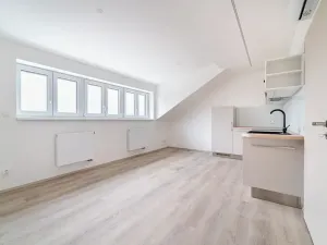 Pronájem bytu 1+kk, Brno, Palackého třída, 29 m2