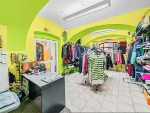 Prodej rodinného domu, Domažlice - Město, Spálená, 312 m2