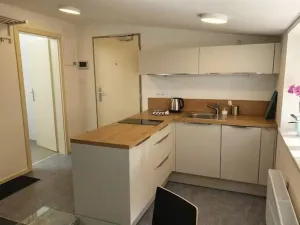 Pronájem bytu 1+kk, Plzeň - Vnitřní Město, Veleslavínova, 36 m2