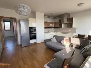 Pronájem pokoje, Praha - Holešovice, Kouteckého, 20 m2