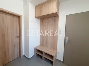 Pronájem bytu 2+kk, Brno, Plotní, 49 m2