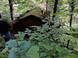 Prodej chaty, Kamenný Přívoz - Hostěradice, 12 m2