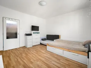 Prodej bytu 1+1, Brno - Štýřice, Gallašova, 26 m2