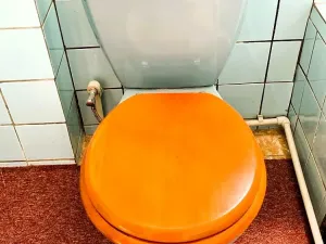 Prodej rodinného domu, Třemošná, 1. máje, 484 m2