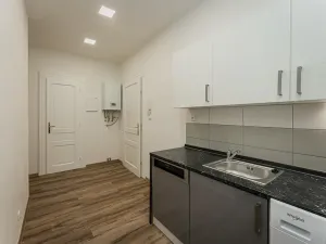 Pronájem bytu 2+kk, Praha - Vinohrady, Mánesova, 52 m2
