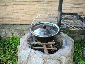 Prodej rodinného domu, Lipová-lázně, 555 m2