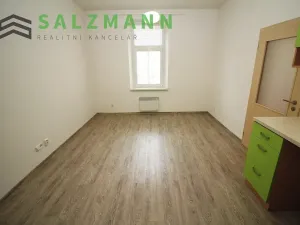 Pronájem bytu 2+kk, Plzeň, Úslavská, 38 m2