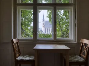 Prodej ubytování, Český Krumlov, Horská, 469 m2