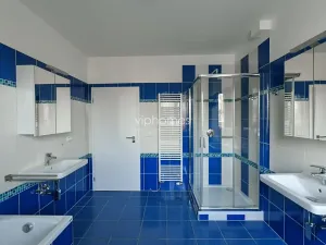 Pronájem vily, Průhonice, Pod Valem II., 285 m2