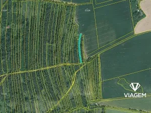 Prodej lesa, Blížejov, 1490 m2
