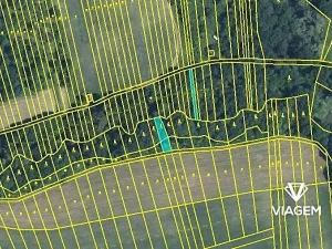 Prodej lesa, Hradčovice, 525 m2