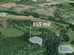 Prodej podílu lesa, Bošice, 1711 m2