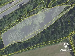 Prodej lesa, Nučice, 10985 m2