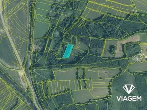 Prodej podílu lesa, Jablůnka, 921 m2