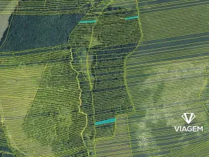 Prodej podílu lesa, Hradčovice, 985 m2