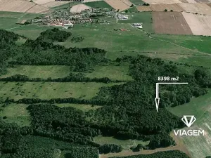 Prodej lesa, Borkovice, 8398 m2
