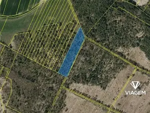 Prodej lesa, Borkovice, 8398 m2