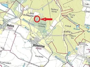 Prodej lesa, Borkovice, 8398 m2