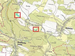 Prodej podílu lesa, Syřenov, 4299 m2