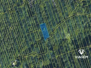 Prodej podílu lesa, Kněždub, 3060 m2