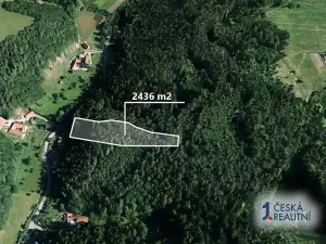 Prodej lesa, Letovice, 2436 m2