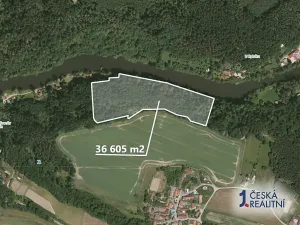 Prodej lesa, Bečice, 36578 m2