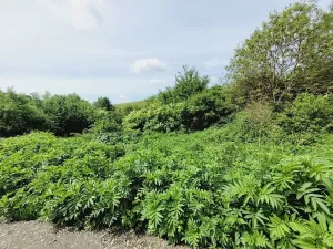 Prodej pozemku pro bydlení, Osvětimany, 1645 m2