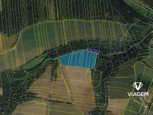 Prodej podílu lesa, Chlum, 1915 m2