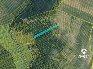 Prodej lesa, Silůvky, 4817 m2