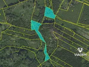 Prodej lesa, Zbizuby, 6015 m2