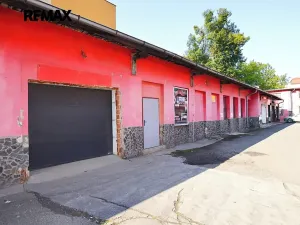 Pronájem obchodního prostoru, Frýdek-Místek, Třebízského, 220 m2