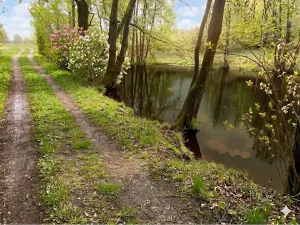 Pronájem rybníku, Votice, 2482 m2