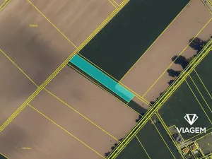 Prodej podílu pole, Střížovice, 2217 m2