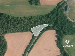 Prodej podílu lesa, Čím, 803 m2