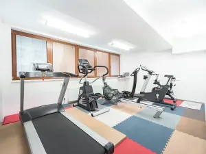 Pronájem bytu 2+kk, Praha - Žižkov, Kališnická, 62 m2