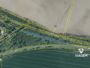 Prodej lesa, Cheb, 2587 m2