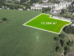 Prodej komerčního pozemku, Horní Planá, 12594 m2