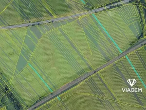 Prodej podílu pole, Rohatec, 1486 m2