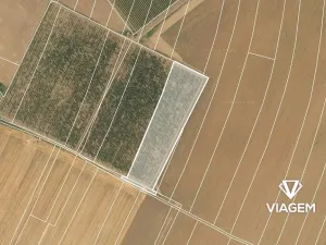 Prodej podílu pole, Chotiněves, 3600 m2