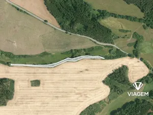 Prodej lesa, Svojšín, 3555 m2